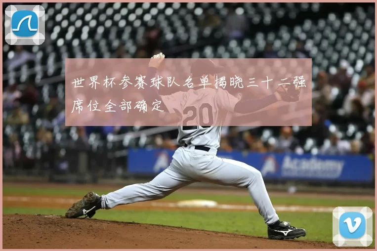 世界杯参赛球队名单揭晓三十二强席位全部确定
