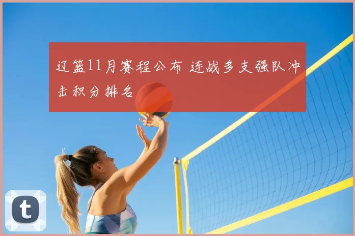 辽篮11月赛程公布 连战多支强队冲击积分排名