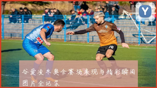 谷爱凌冬奥会赛场表现与精彩瞬间图片全记录
