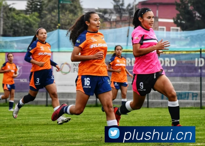 乐鱼(中国)leyu·官方网站APP 封面图